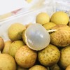 龙眼 商品缩略图2