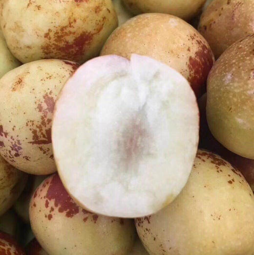 嘎嘣脆甜的冬枣的声音🔊，甜爆的口感真是无敌了。精品礼盒装 商品图7