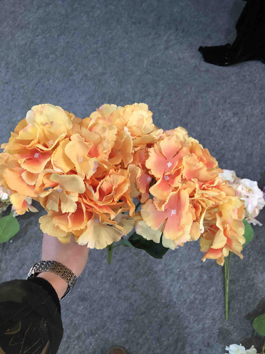 5头绣球把束【运费自理】 商品图1