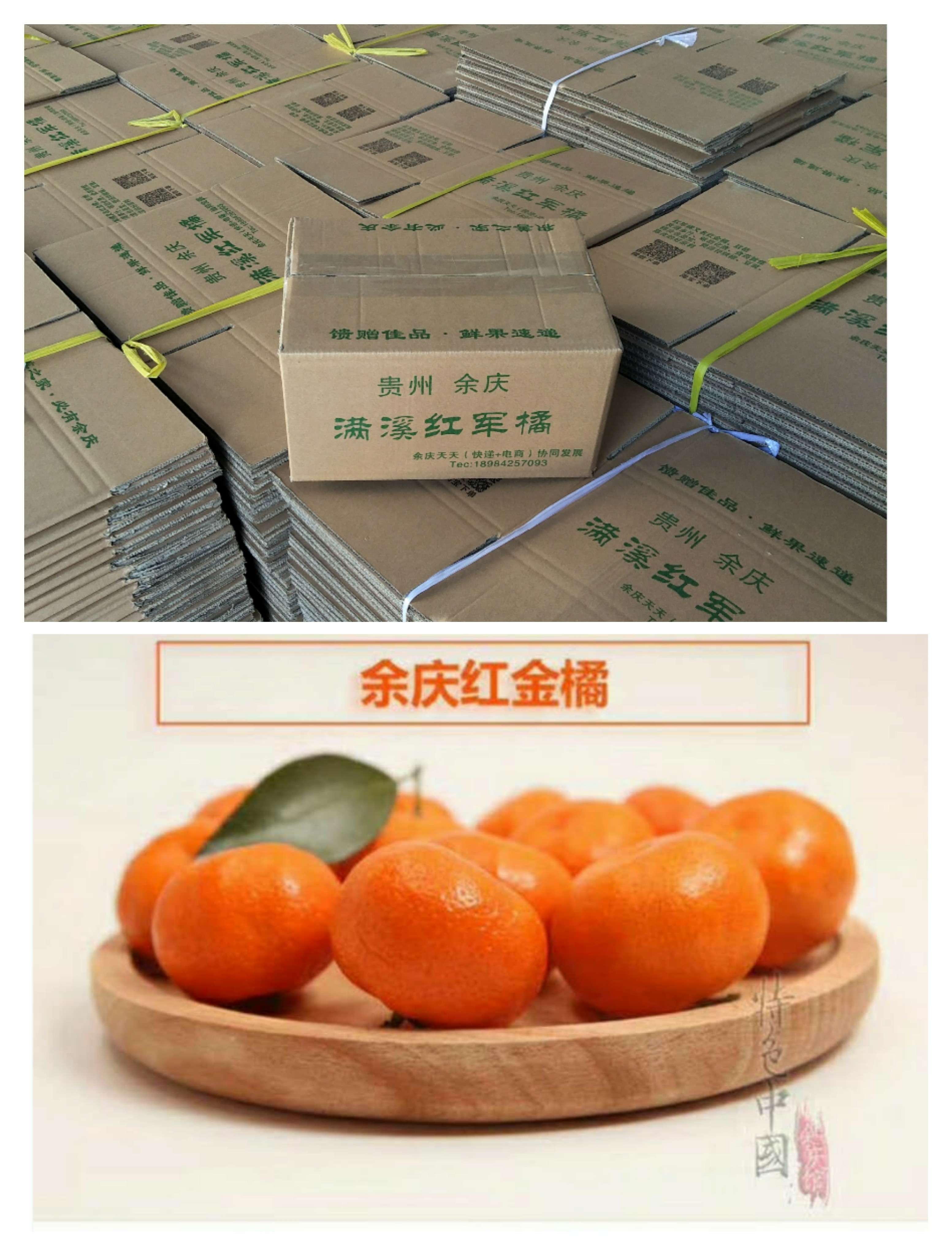 贵州余庆县满溪红金桔红军橘密桔柑子适合各类人群品尝 11月中旬开始