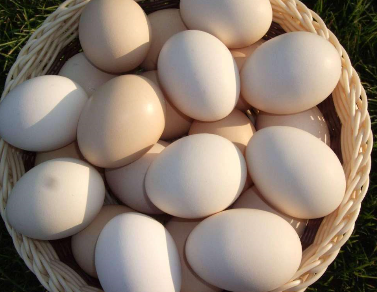 千岛湖直发  农家土鸡蛋