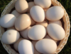 千岛湖直发  农家土鸡蛋 商品缩略图0
