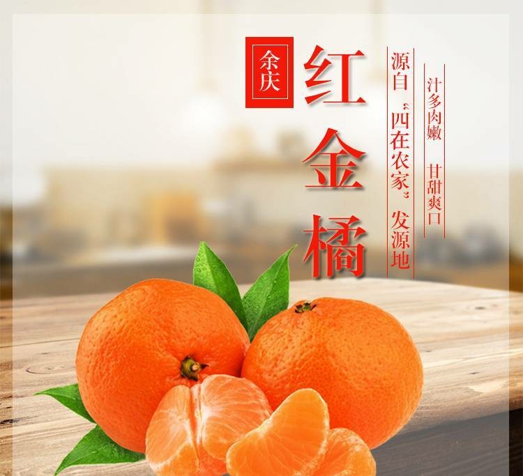 贵州余庆县满溪红金桔红军橘密桔柑子适合各类人群品尝 11月中旬开始