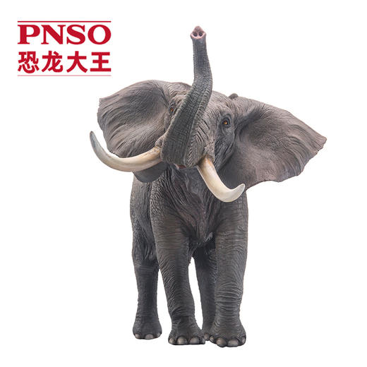 PNSO非洲象满满动物园成长陪伴模型01 商品图1