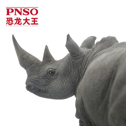 PNSO白犀牛尼卡动物园成长陪伴模型03 商品图2