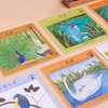 《小小自然图书馆》40册丨意大利获奖无数的自然启蒙图画书 商品缩略图4