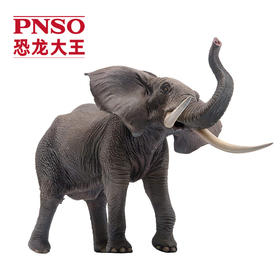 PNSO非洲象满满动物园成长陪伴模型01