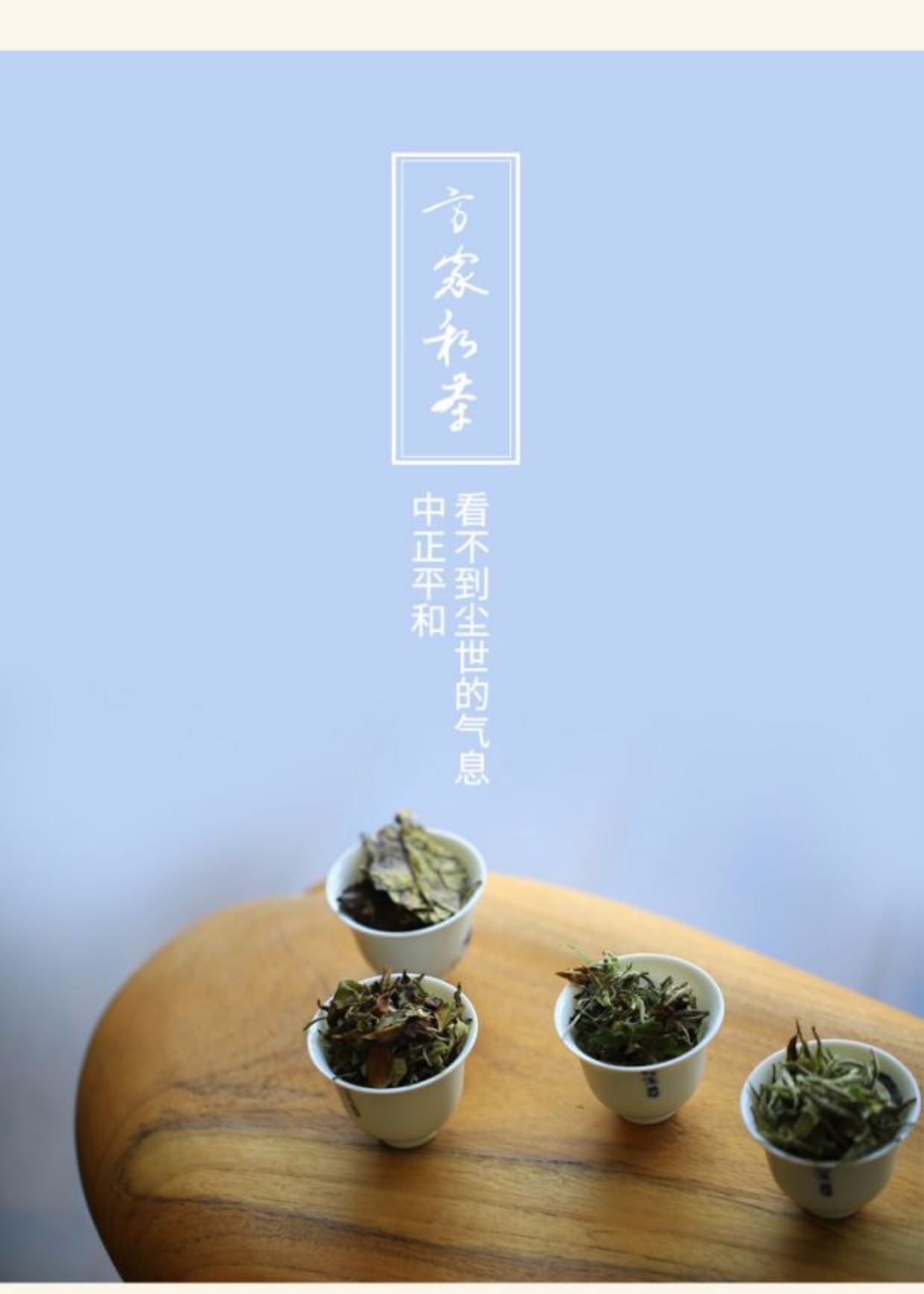 方守龙白茶2012年春牡丹茶自然农法福鼎白茶75克盒