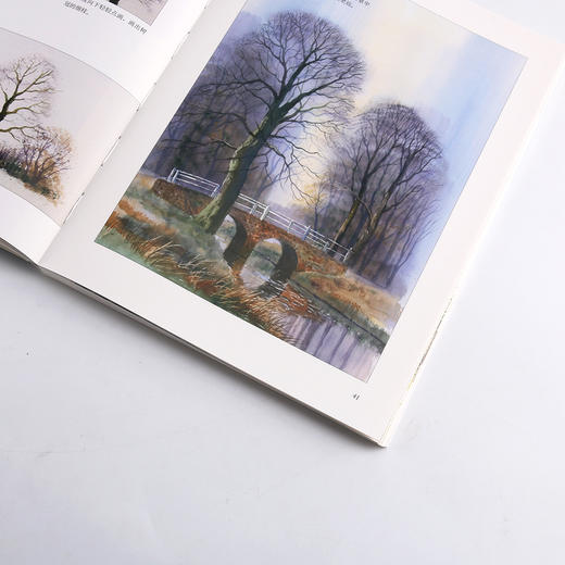 特里•哈里森的水彩课Ⅴ  轻松描绘树木和森林 商品图3