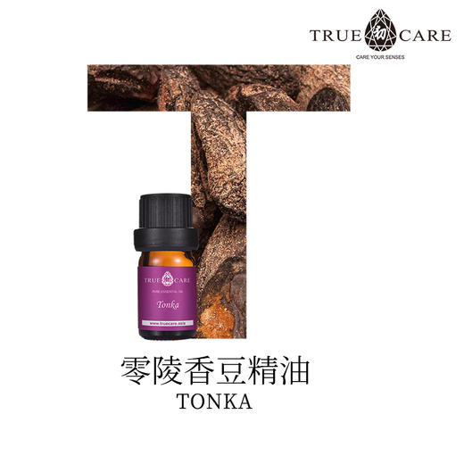 零陵香豆精油5ml用脑过度疲劳睡眠差紧张压力胆