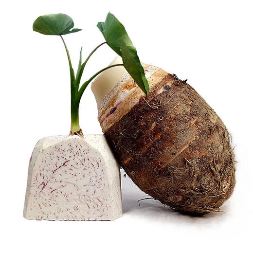 【包邮产地直发】荔浦芋头5斤 产地直发的商品需要5