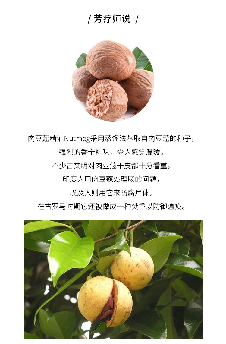 肉豆蔻单方精油5ml食欲胀气腹泻血循