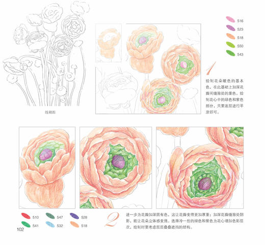 花开素颜：素描+色彩私享手绘课 水彩教程花之绘手绘色铅笔入门彩绘彩铅水彩植物花之绘清新花草素描绘画美术实用教程成人绘画 商品图4