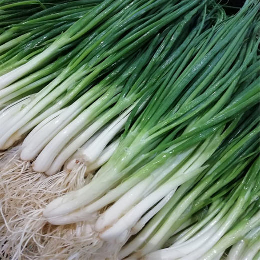 香葱500g - 善农sinovio
