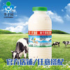 李子园 甜牛奶 学生最爱甜牛奶 450ml 规格 1×12瓶 商品缩略图1