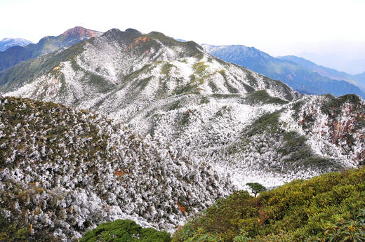 01.27出发【湖南莽山】雪雾、冰挂风光3天摄影 商品图9