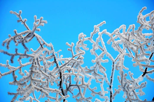 01.27出发【湖南莽山】雪雾、冰挂风光3天摄影 商品图5