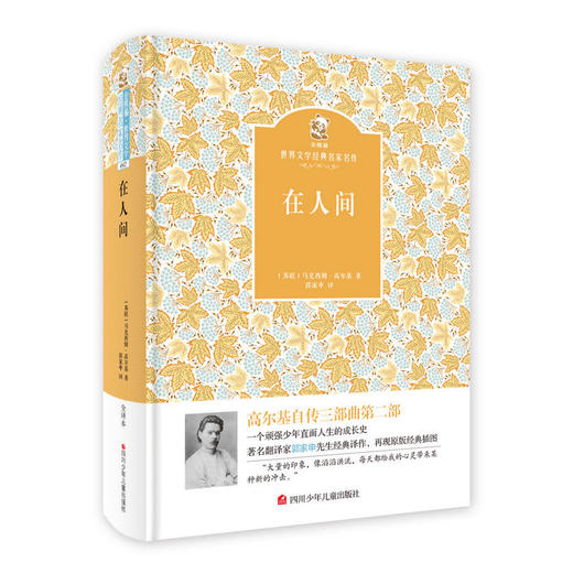 名家名译 金熊猫世界文学经典：在人间 商品图0