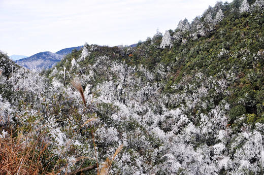 01.27出发【湖南莽山】雪雾、冰挂风光3天摄影 商品图7