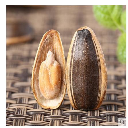 【百汇到家】散焦糖味瓜子  瓜子 商品图1