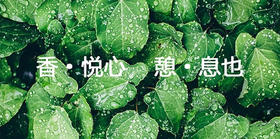 打卡︱21天光芒肌