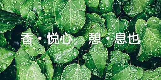 打卡︱21天光芒肌 商品图0