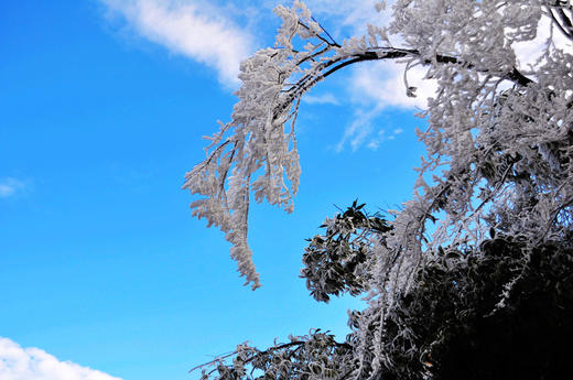 01.27出发【湖南莽山】雪雾、冰挂风光3天摄影 商品图3