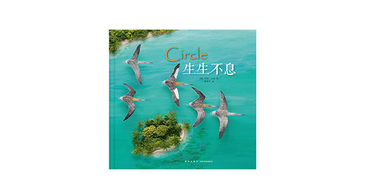 3-6岁《生生不息》 商品图0