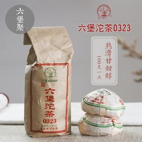 三鹤六堡茶 2013年 0323沱茶（2015年包装出厂，5沱/条，100g/沱）