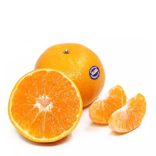 2ph澳洲蜜橘单果140g左右