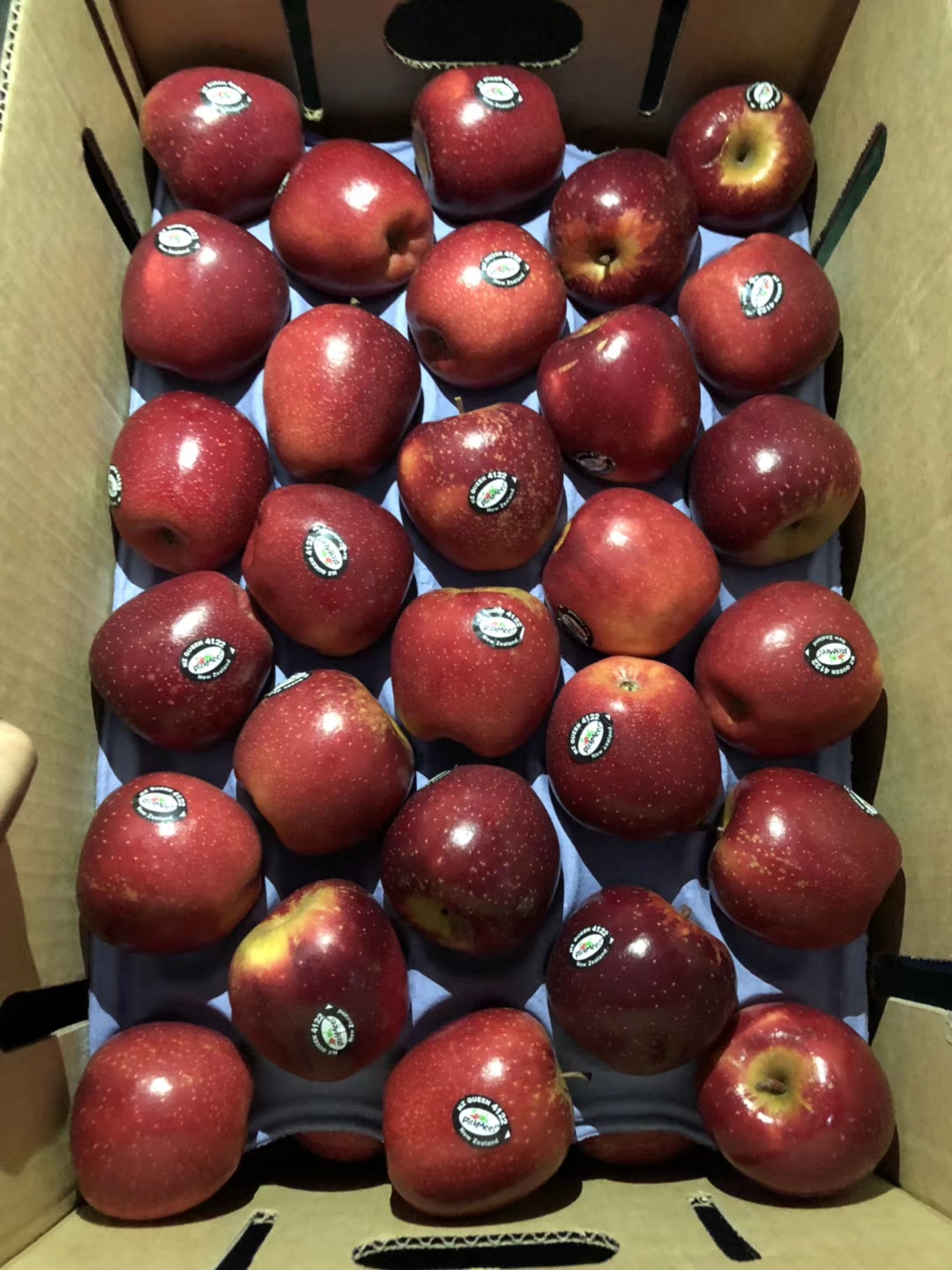 新西兰玫瑰苹果迷你版脆甜多汁12个装广西区包邮