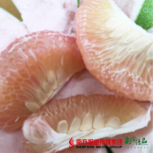 【酸甜可口】泰国大金象红色柚 1个 2.5斤左右 商品图2