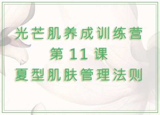 第11课  夏型肌肤管理法则 商品图0