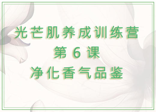 第6课  净化香气品鉴 商品图0