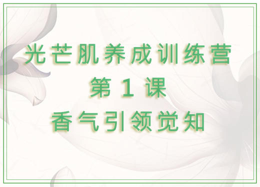第1课  香气引领觉知 商品图0
