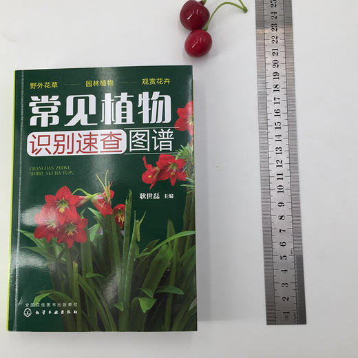 常见植物识别速查图谱 商品图1