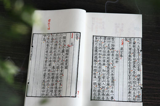 梅花带雪飞琴上   皓月和唱入酒中 ——词林珍秘《张奕枢本白石道人歌曲》 商品图10