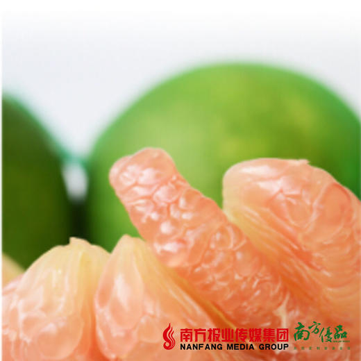 【酸甜可口】泰国大金象红色柚 1个 2.5斤左右 商品图1