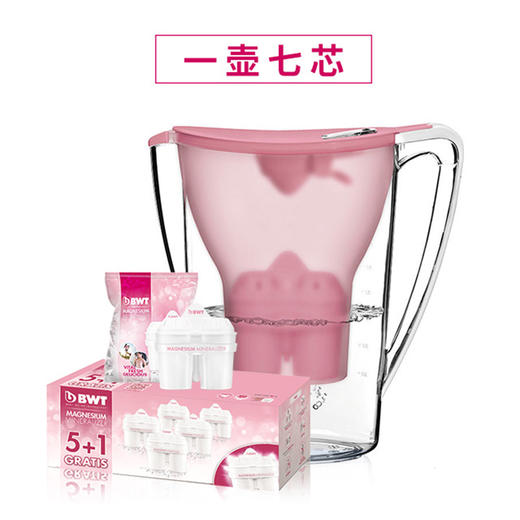 BWT 电子计次净水壶2.7L【1壶1芯+6芯盒装】 商品图1