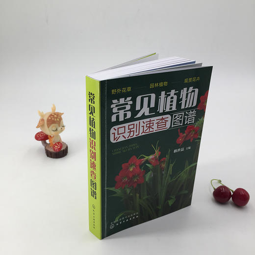 常见植物识别速查图谱 商品图2