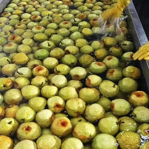 莱阳梨膏250克1瓶 商品图2