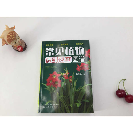 常见植物识别速查图谱 商品图3