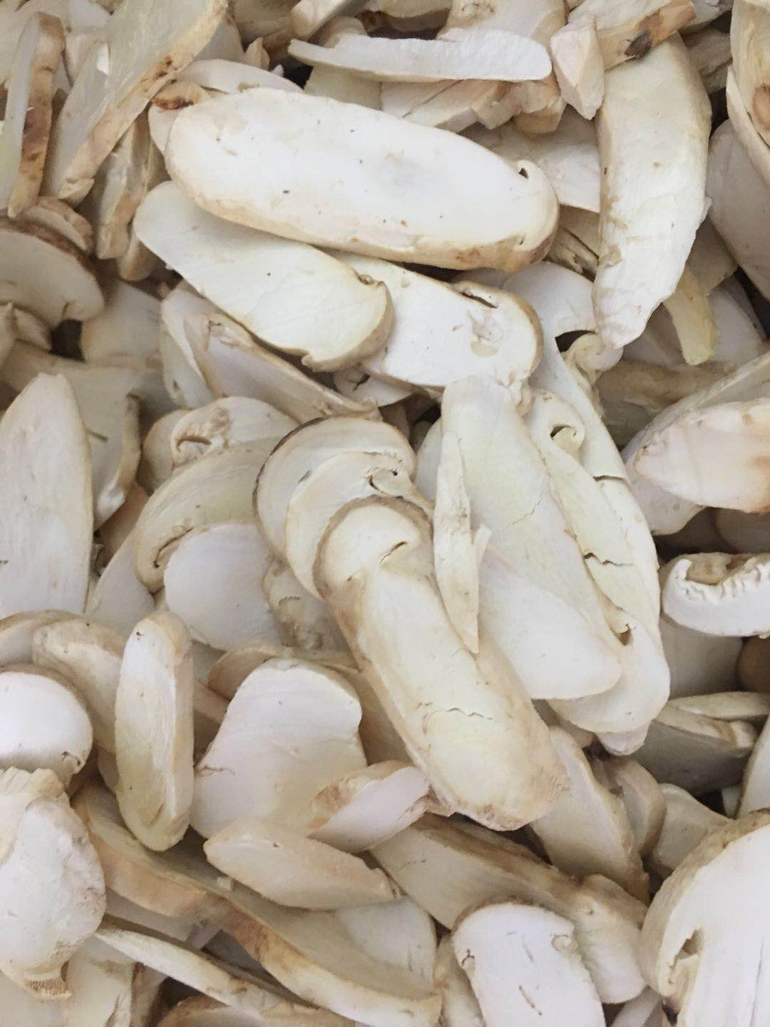云山采fd冻干松茸切片35公分25g2盒松茸中的极品哦