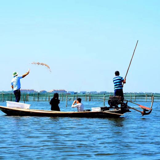 真正正宗的阳澄湖大闸蟹，来自校友师兄家，自家70亩阳澄湖东湖核心水域。包活，死蟹包赔，顺丰空运全国包邮。 商品图2
