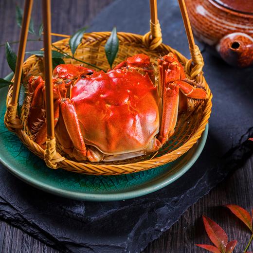 真正正宗的阳澄湖大闸蟹，来自校友师兄家，自家70亩阳澄湖东湖核心水域。包活，死蟹包赔，顺丰空运全国包邮。 商品图5