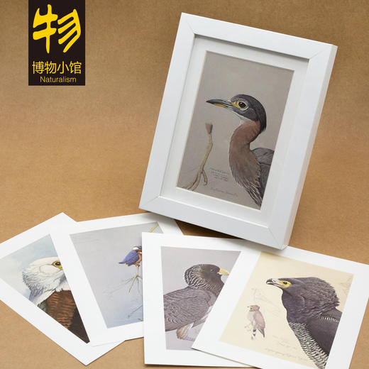 博物小馆原创【博物装裱画】之埃塞俄比亚的鸟 精美印刷含相框 商品图0