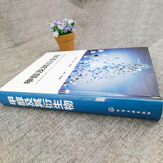 甲醇及其衍生物 商品图3