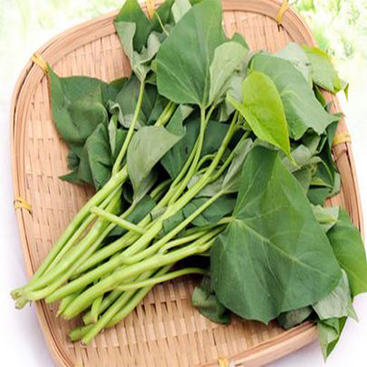 红薯尖500g