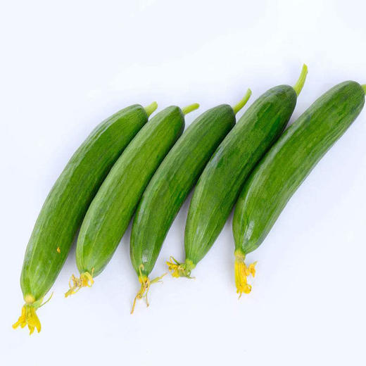 荷兰 水果黄瓜 500g