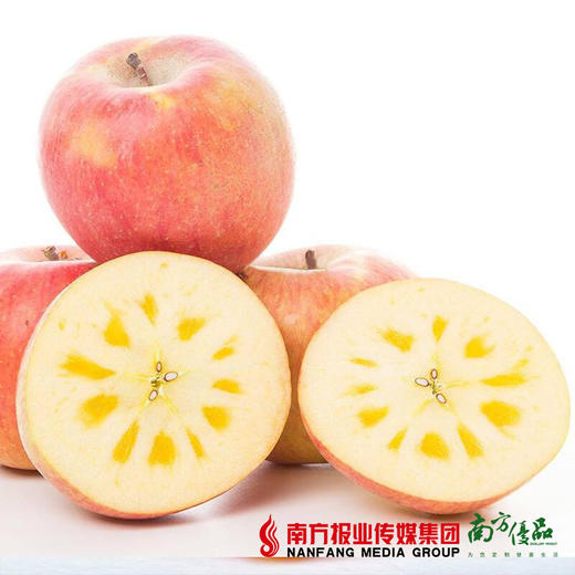 【脆甜多汁】云南昭通丑苹果 24个 礼盒装 70-75mm 8-9斤 商品图0